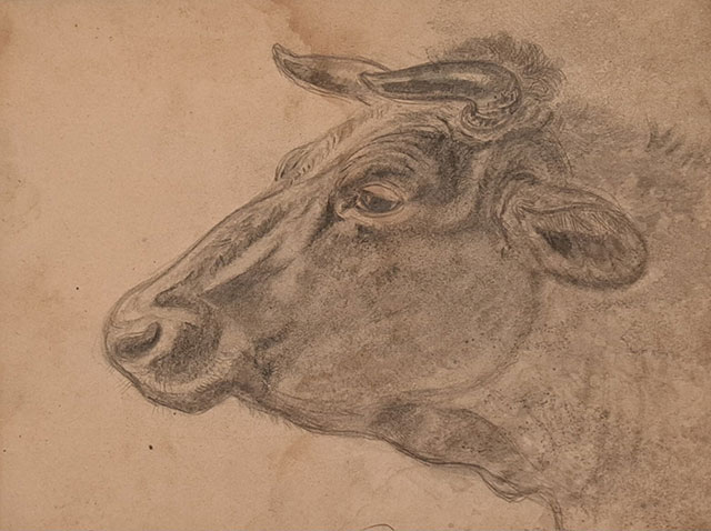 「 牛（素描） 」　加藤栄三　作